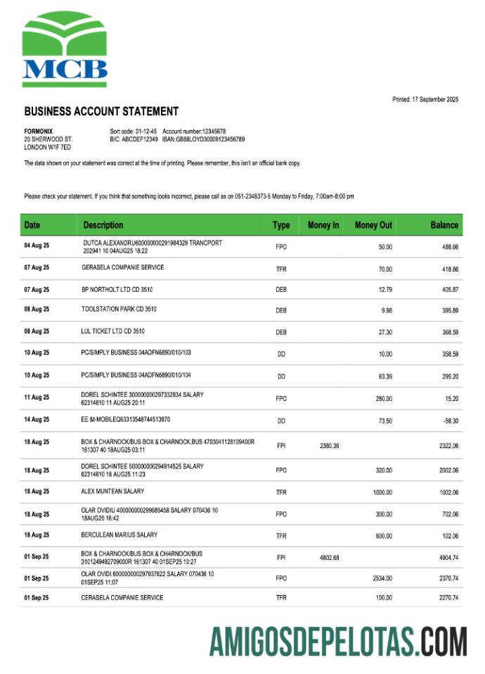 Baixável Paquistão MCB Business Checking modelo de extrato de conta Word e PDF